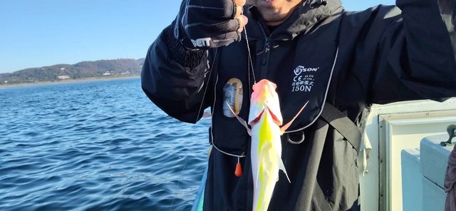 イトヨリ(イトヨリダイ)