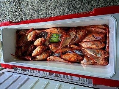 クロムツ・キンメ(キンメダイ)