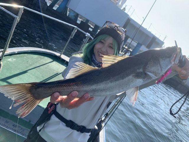 シーバス(スズキ)