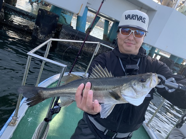 シーバス(スズキ)