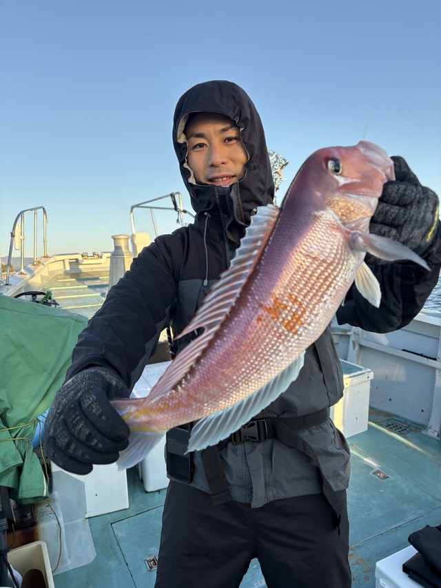 アマダイ(アカアマダイ)