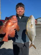 イサキ・キントキ(チカメキントキ)