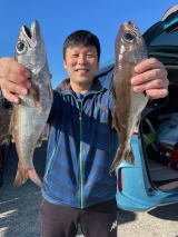 クロムツ・メダイ