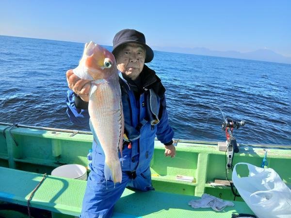 アマダイ(アカアマダイ)