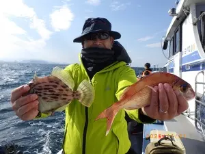 タイ(マダイ)・カワハギ