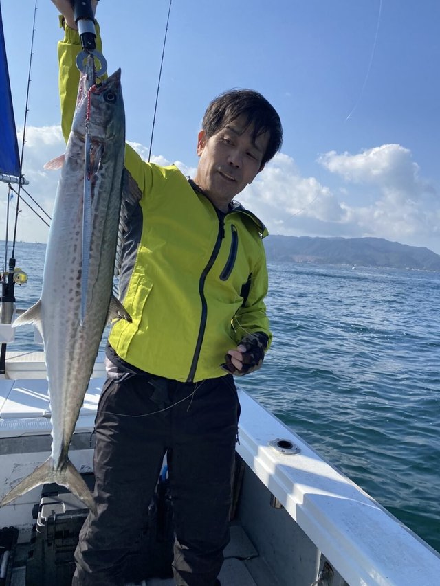 サゴシ(サワラ)