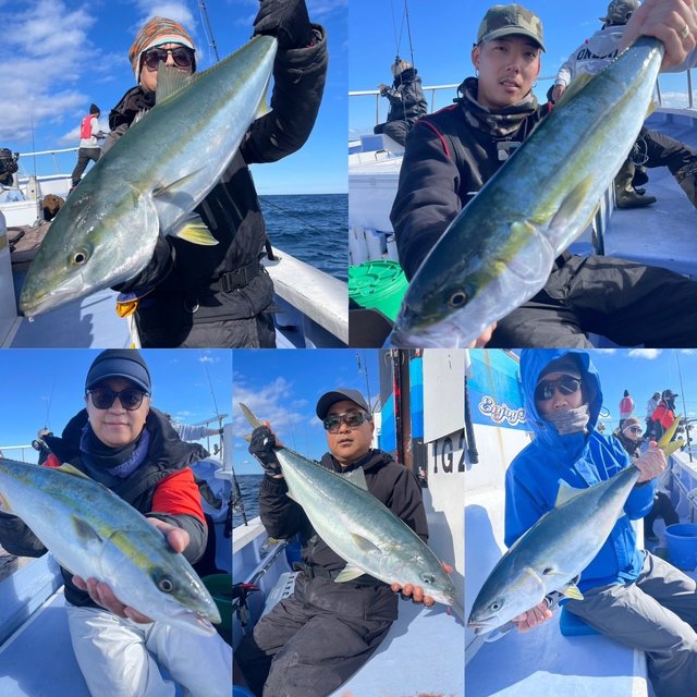 ブリ・サンパク(ブリ)