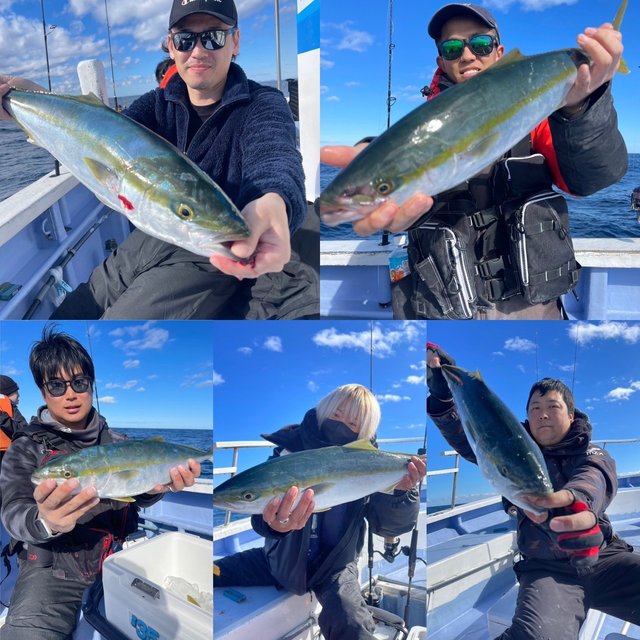 ブリ・サンパク(ブリ)