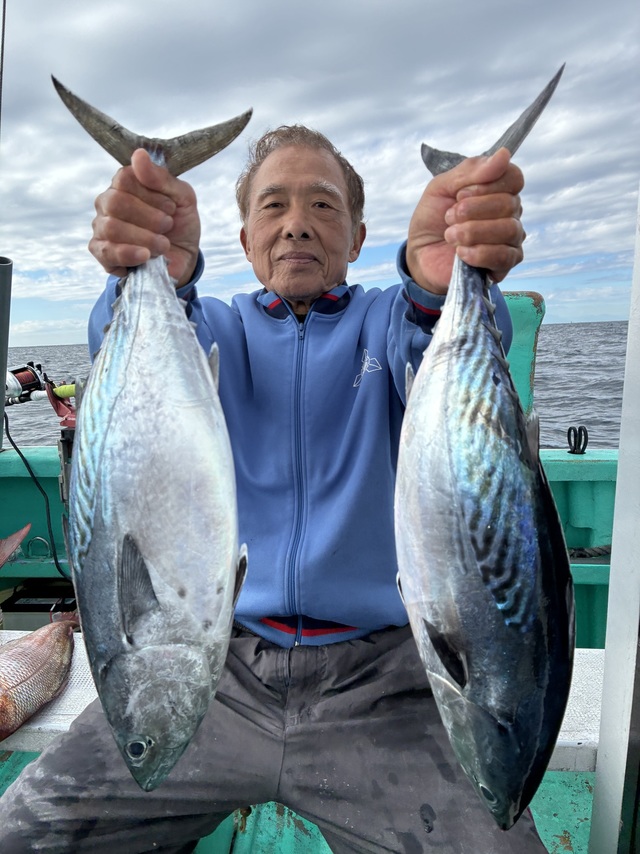 スマガツオ(スマ)