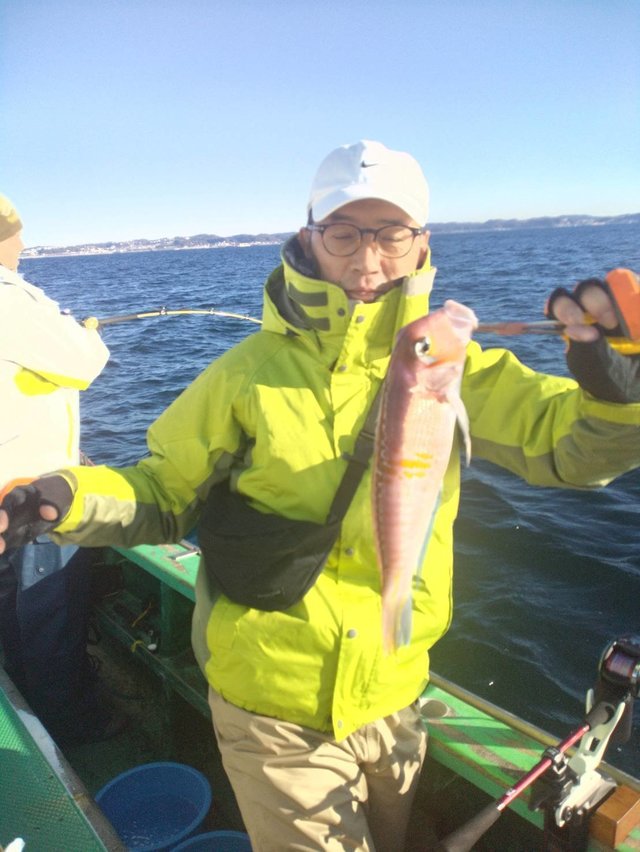 アマダイ(アカアマダイ)