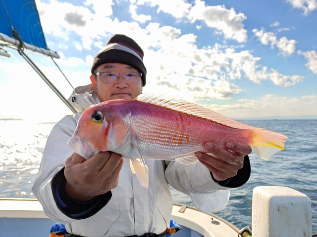 アマダイ(アカアマダイ)