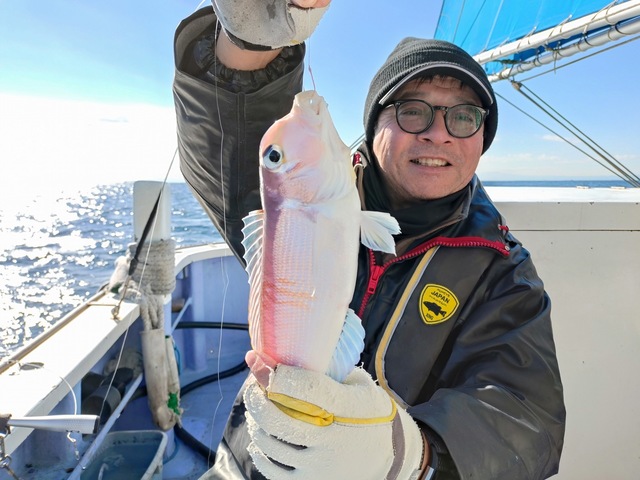 アマダイ(アカアマダイ)