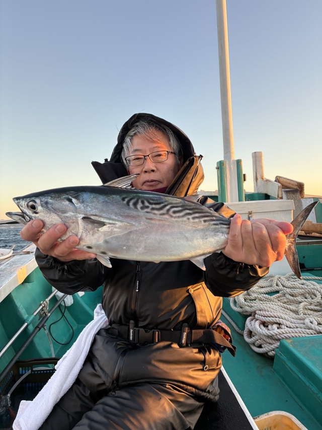 ヤイトガツオ(スマ)