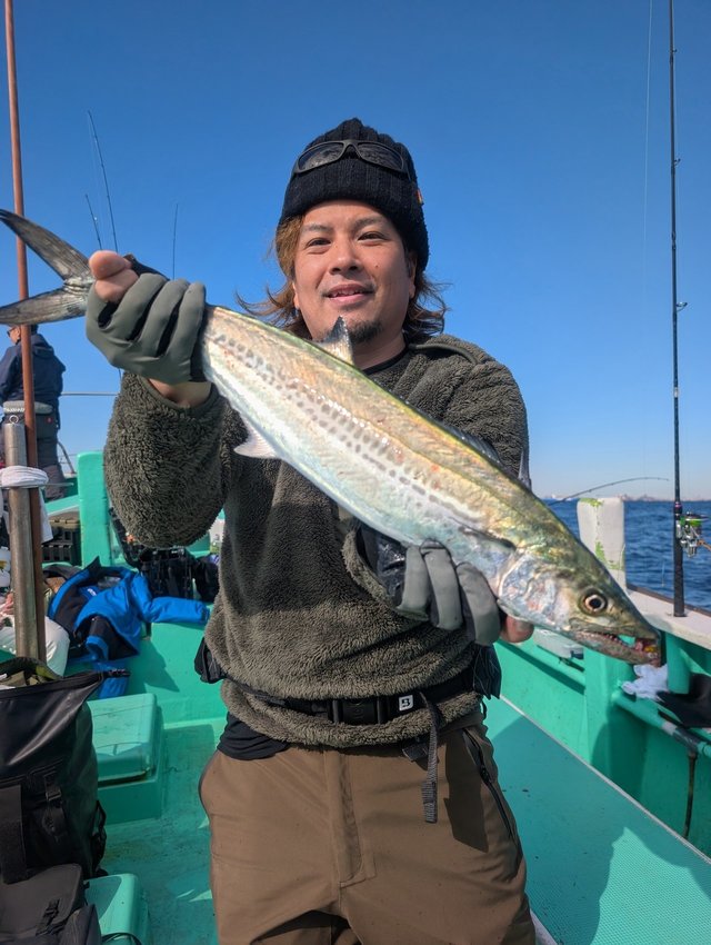 サゴシ(サワラ)