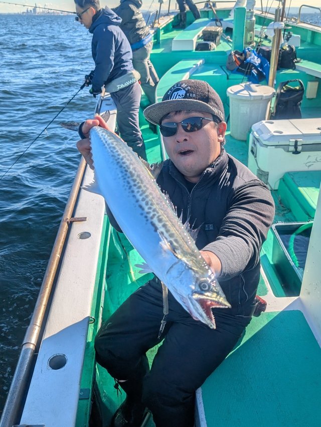 サゴシ(サワラ)