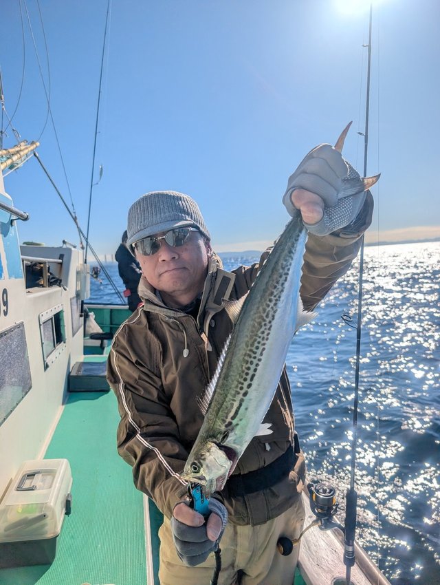 サゴシ(サワラ)