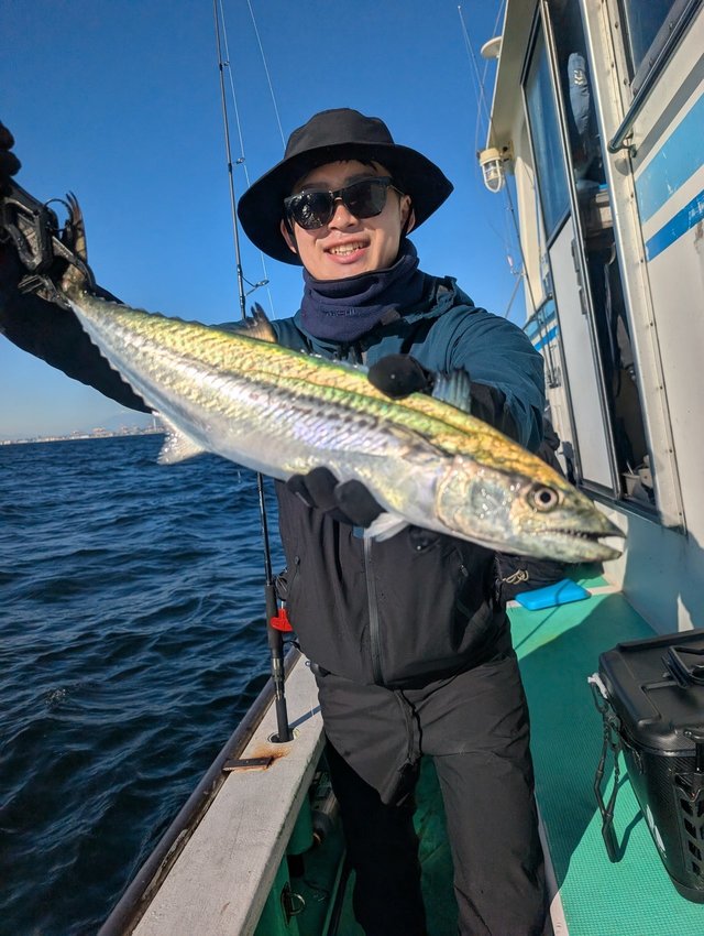 サゴシ(サワラ)