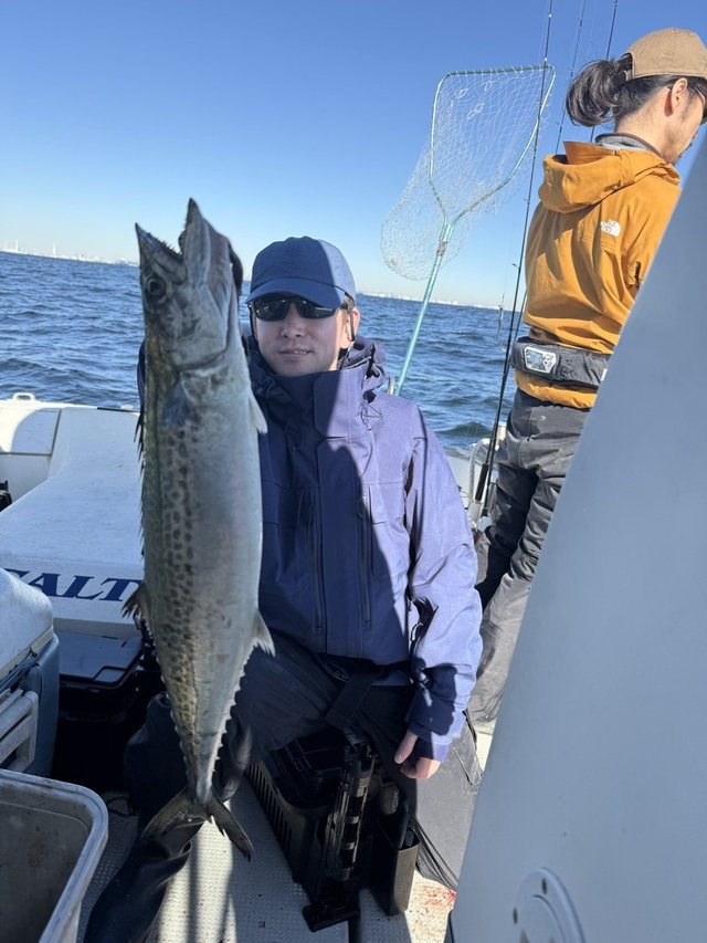 サゴシ(サワラ)