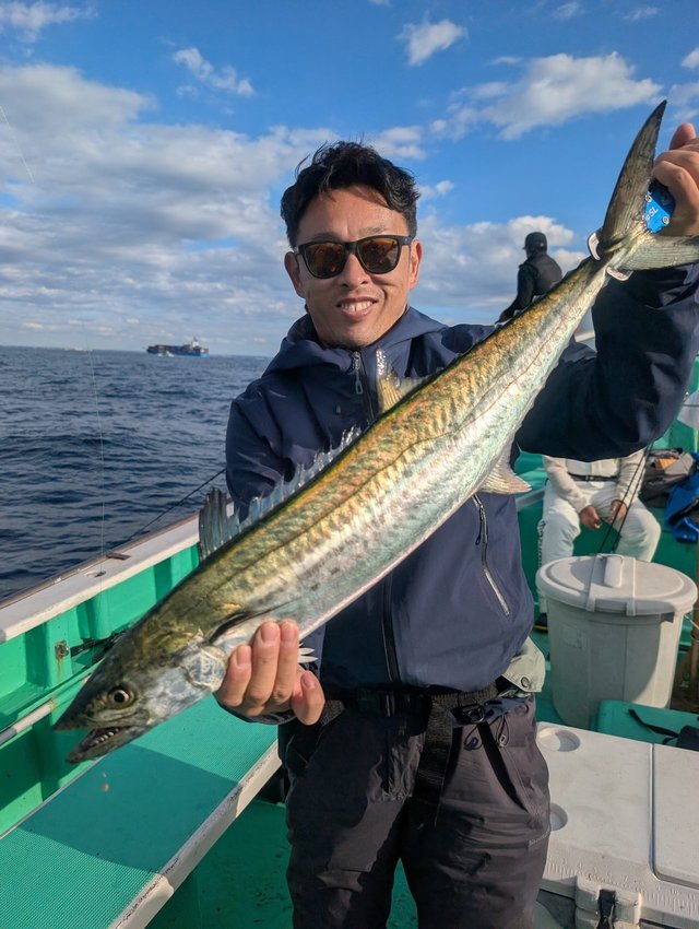 サゴシ(サワラ)