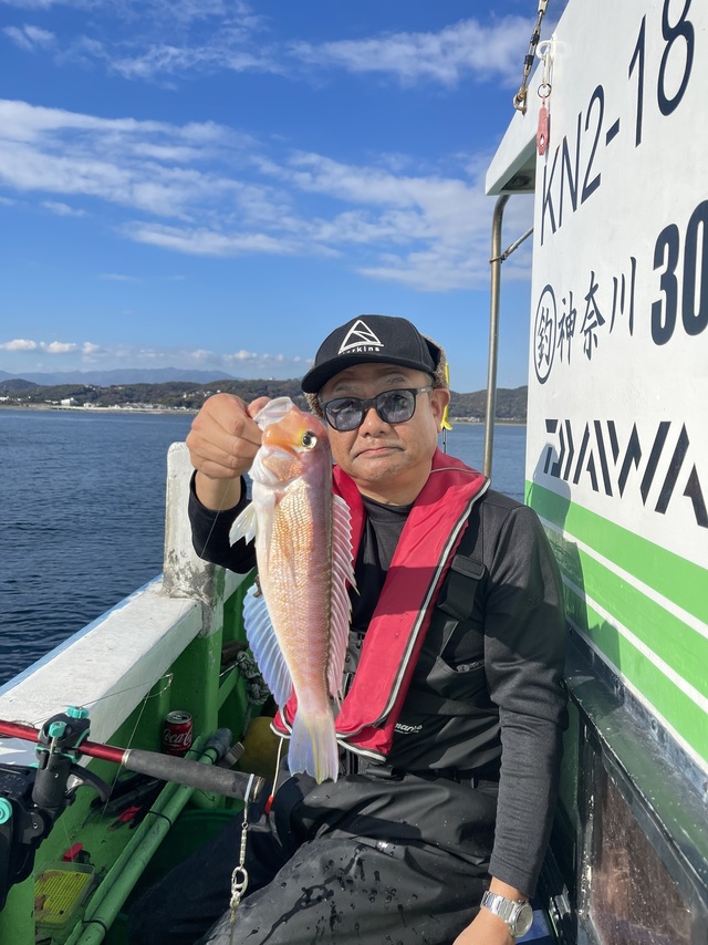 アマダイ(アカアマダイ)