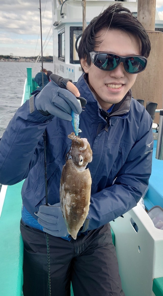 モンゴウイカ(カミナリイカ)