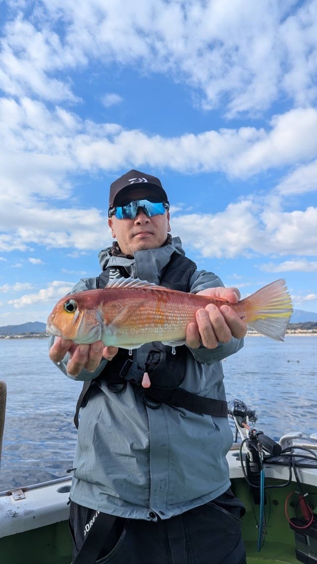 アマダイ(アカアマダイ)