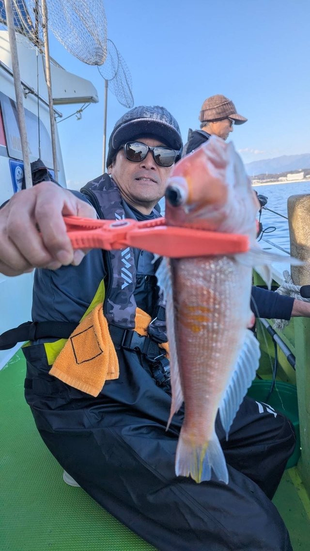 アマダイ(アカアマダイ)