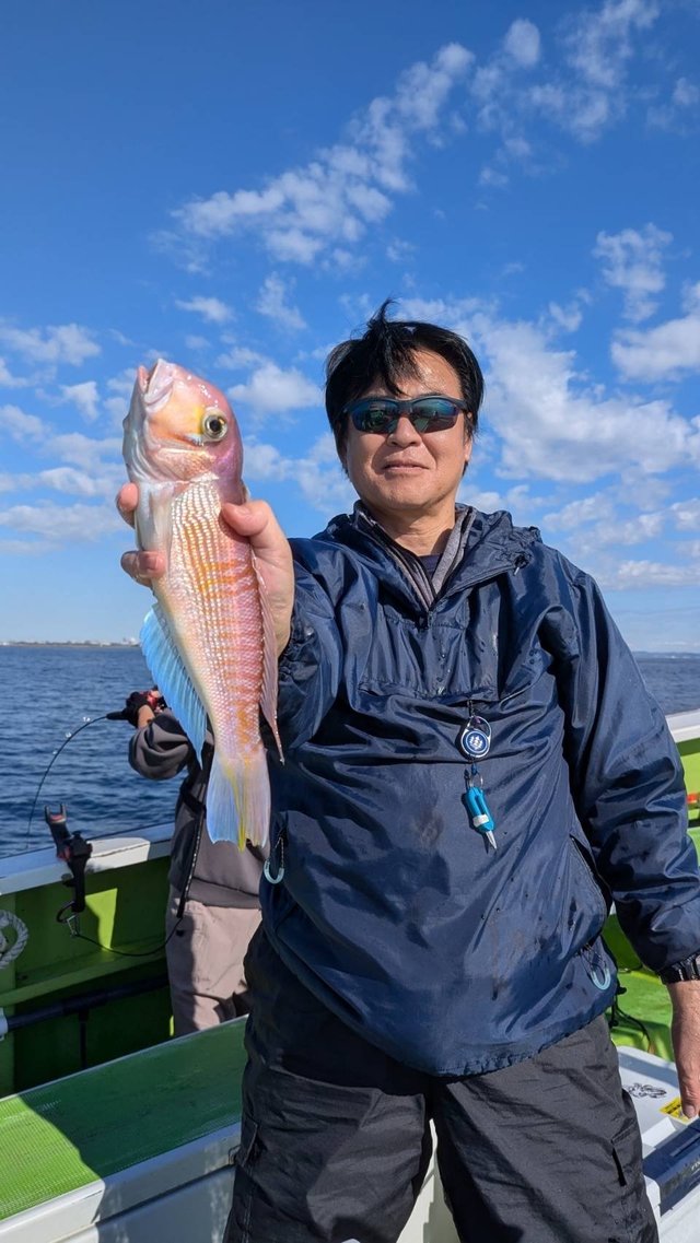 アマダイ(アカアマダイ)