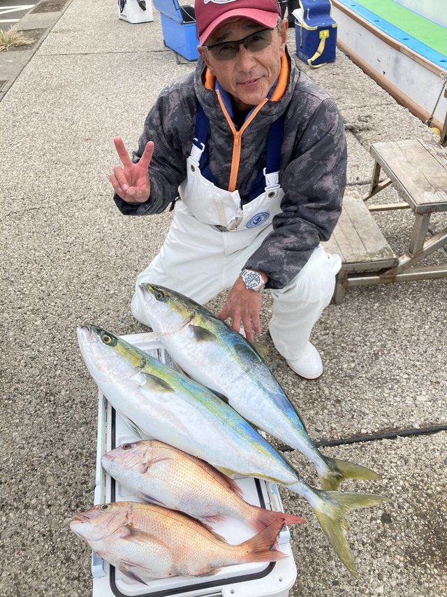 マダイ・ワラサ(ブリ)