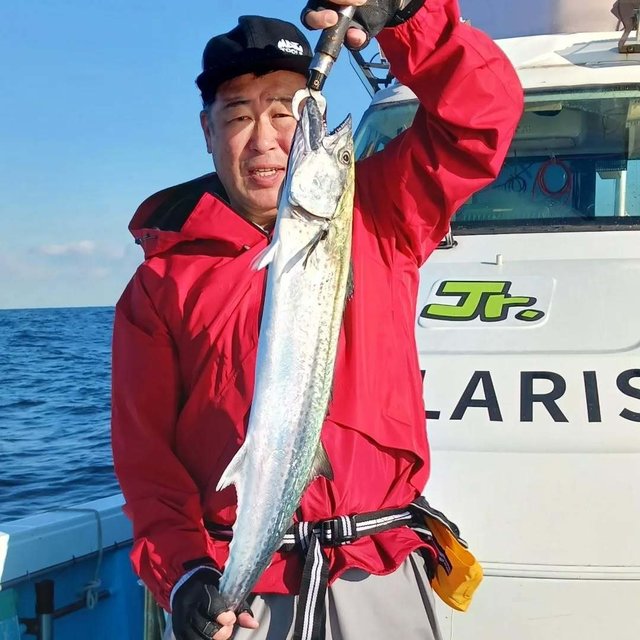 サゴシ(サワラ)