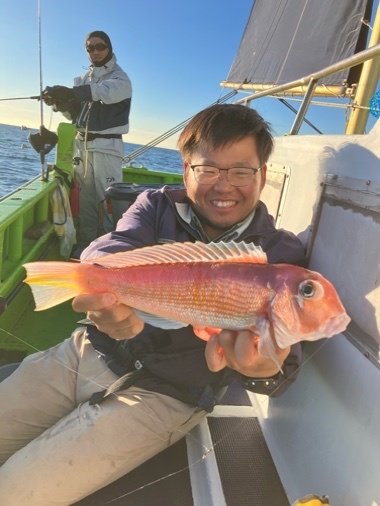 アマダイ(アカアマダイ)