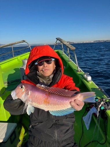 アマダイ(アカアマダイ)