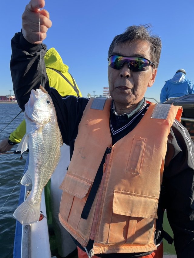 イシモチ(シログチ)