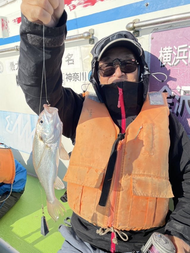 イシモチ(シログチ)