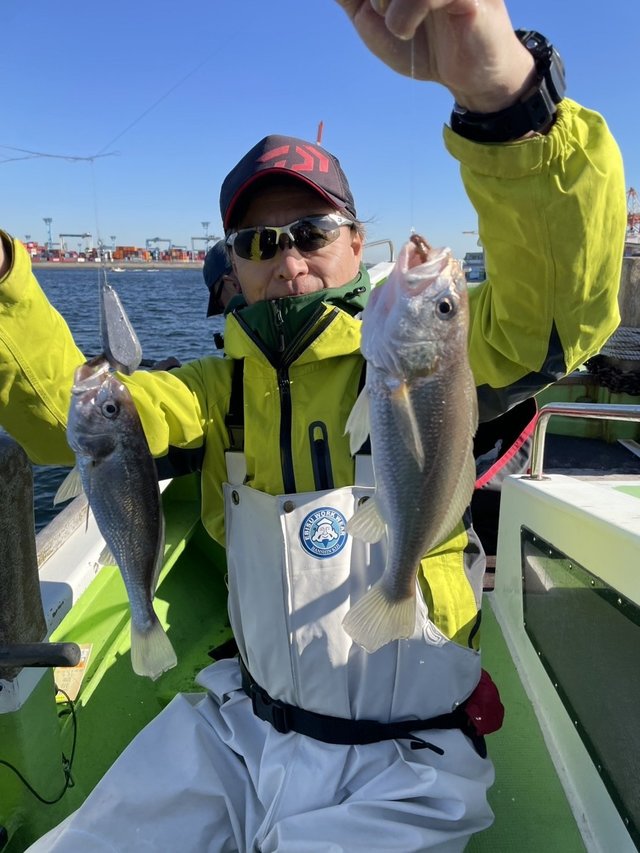 イシモチ(シログチ)