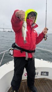 シーバス(スズキ)