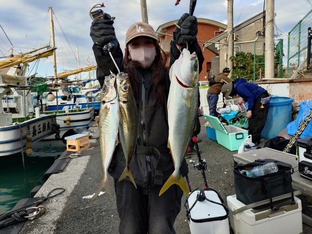 アジ(マアジ)・イナダ(ブリ)