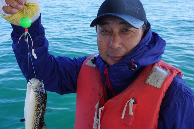 ショウサイフグ