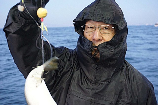 ショウサイフグ