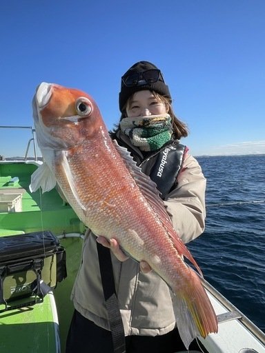 アマダイ(アカアマダイ)