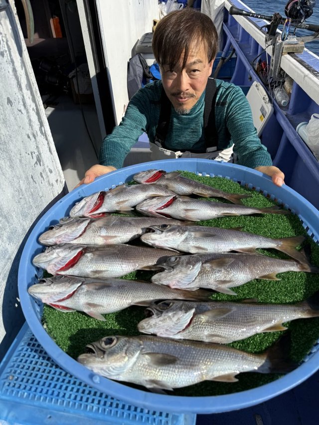 クロムツ・クロシビカマス