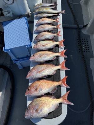 マダイ・イサキ