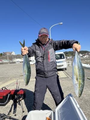 ハマチ(ブリ)・メジロ(ブリ)