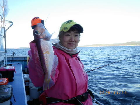 アマダイ(アカアマダイ)