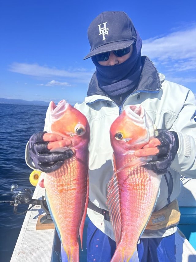 アマダイ(アカアマダイ)