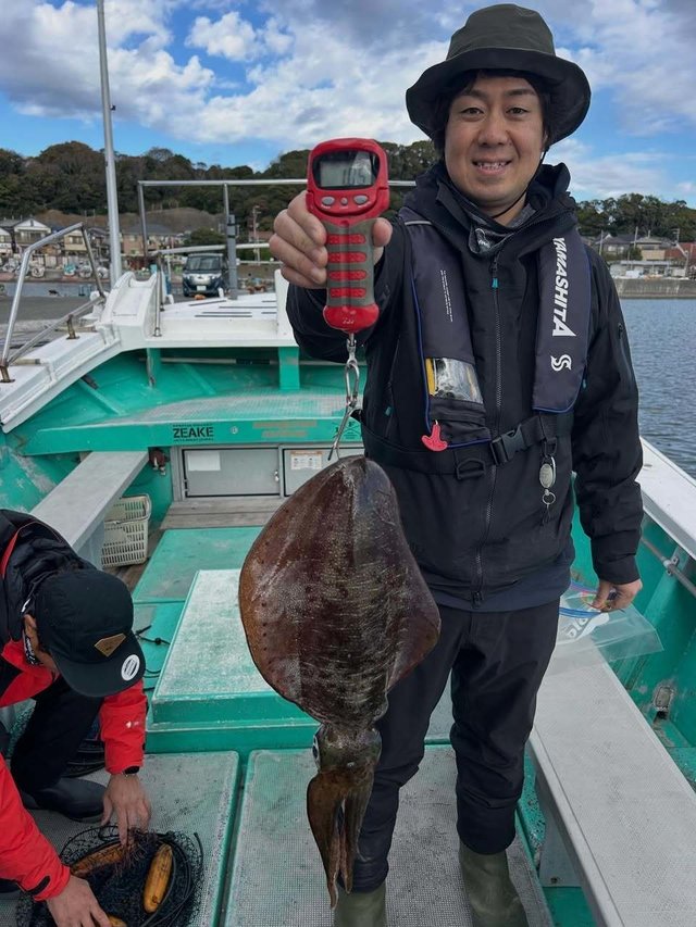 アオリ(アオリイカ)