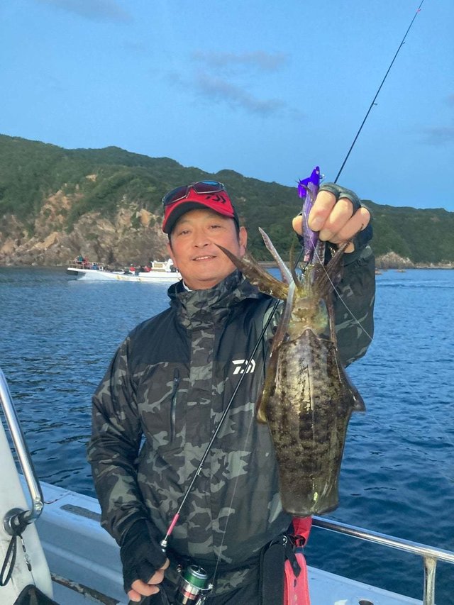 アオリ(アオリイカ)