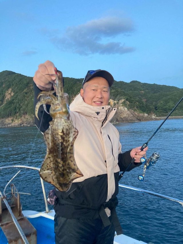 アオリ(アオリイカ)