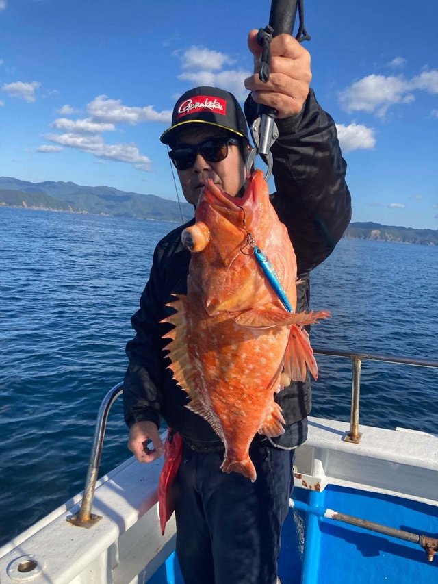 ウッカリカサゴ