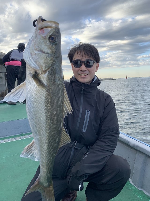 シーバス(スズキ)